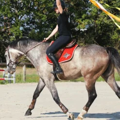 - Guêtres ouvertes Olympus Vento x2 Cso|Guêtres Ouvertes