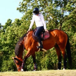 Clearance - Tapis de Selle Color Edition / Bordeaux Tapis Cso/ Mixtes|Tapis De Selle