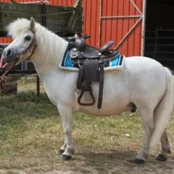 Western|Tapis De Western*Westride - Tapis navajo Matelassé